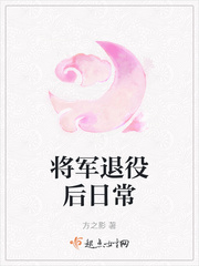 将军退役后日常